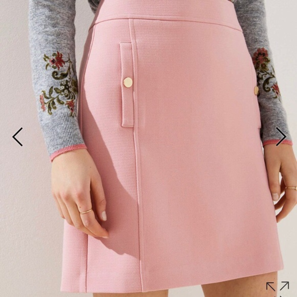 Blush Pink. Business Skirt. Ann Taylor Loft.